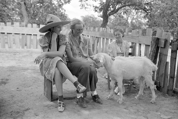 HOMESTEADERS, 1940. A group of women with a goat in Pie Town, New Mexico