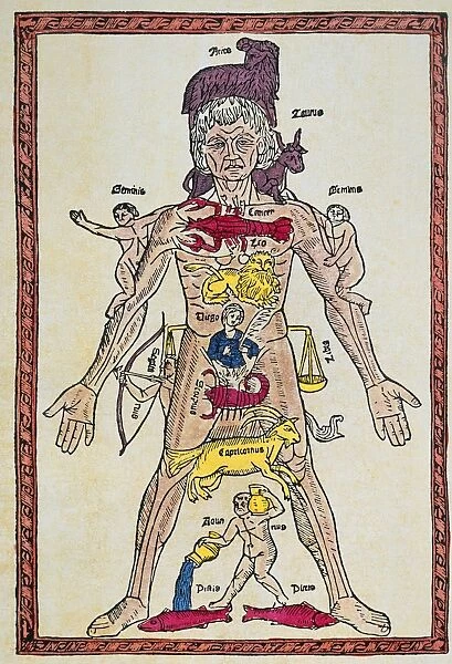 Homo Signorum. Woodcut from Epilogo en medicina, printed by Juan de Burgos, Spain, 1495