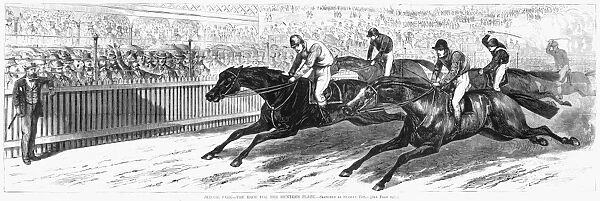 HORSE RACE, 1870. The race for the Hunters Plate at Jerome Park Racetrack in New York