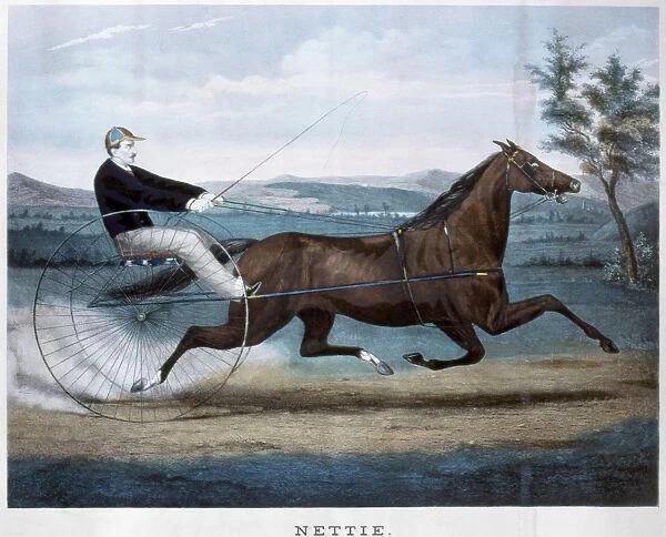 HORSE RACING, c1874. Nettie. Lithograph, c1874