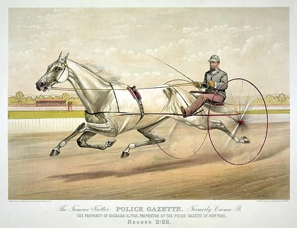 HORSE RACING, c1882. Famous Trotter Police Gazette Formerly Emma B: The Property of Richard K