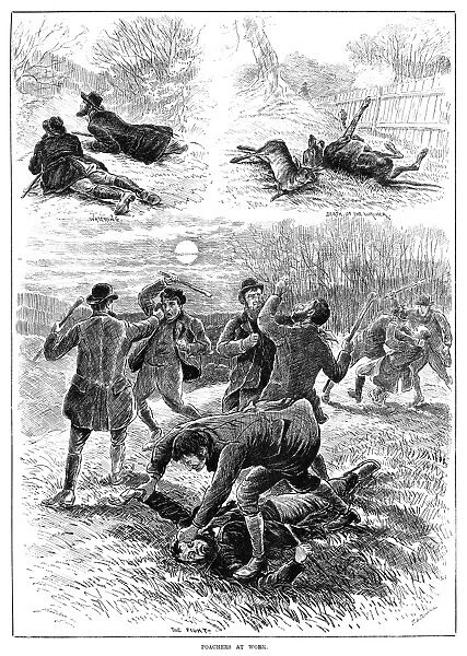 HUNTING, 1885. Hunters getting into a fight after the accidental death of the lurcher dog