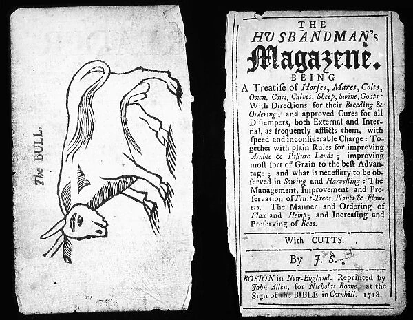 HUSBANDMANs MAGAZINE, 1718. Title page and engraving of a bull from an English reprint, 1718, of John Smiths original, published in Boston, 1684
