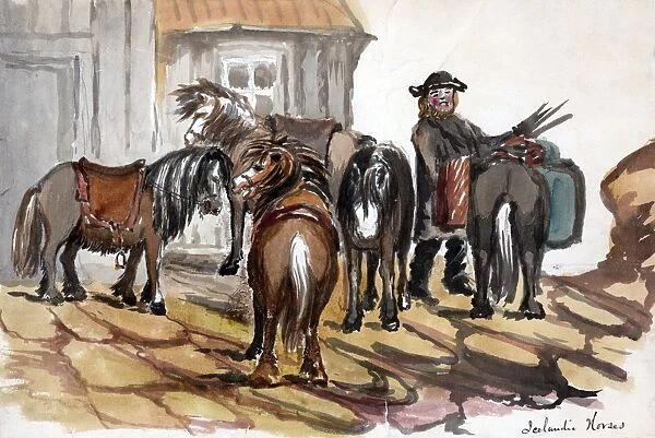 ICELAND, 1862. A man tending Icelandic horses in Iceland. Drawing by Bayard Taylor