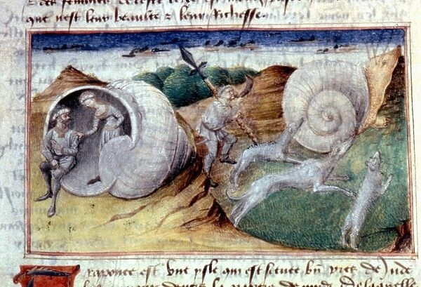 IMAGINARY LAND OF TRAPONCE. Where people live in shells. French miniature, c1460