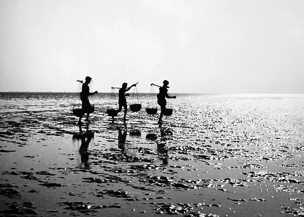 INDIA: ORISSA, 1957. Fishermen carrying baskets of fish along the ocean shore at Orissa on the Bay of Bengal. Photograph, 1957
