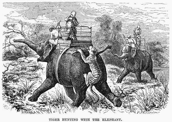 INDIA: TIGER HUNT. A tiger hunt in India. Wood engraving, American, 19th century, after Paul Philippoteaux