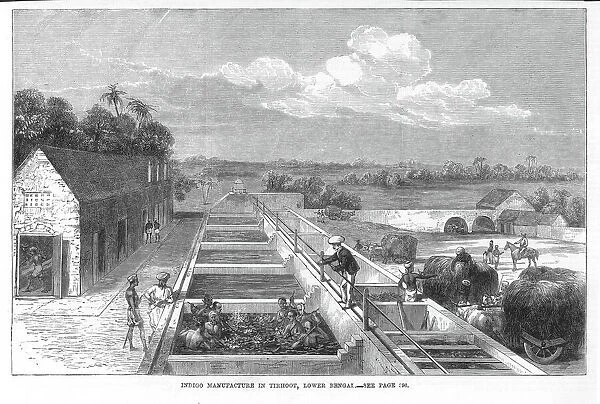 INDIGO MANUFACTURE, 1869. In Tirhoot, Lower Bengal; wood engraving, English, 1869