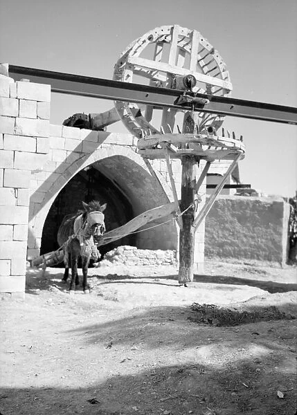 ISRAEL: IRRIGATION, 1940. An irrigation wheel at the Well of Abraham in Beersheba, Israel