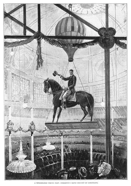 The Italian circus performer, Corradini, descending on horseback on a platform at a circus. Illustration, English, 1898