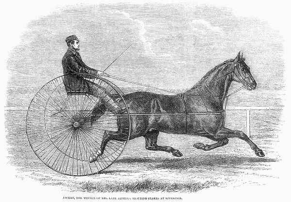 Jackey, the winner of the late Aintree trotting stakes at Liverpool, England. Wood engraving, 1861