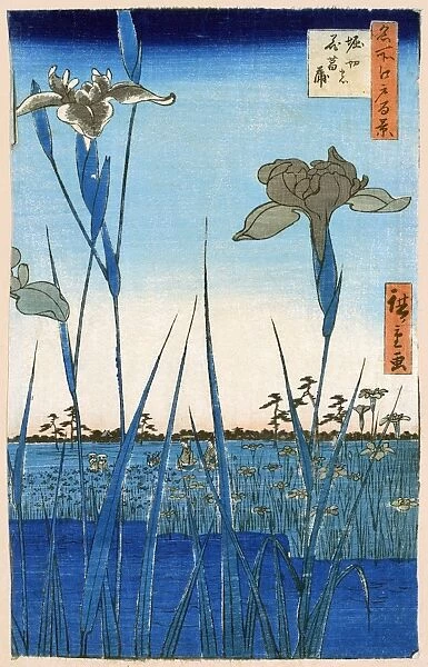 JAPAN: IRIS GARDEN, 1857. Horikiri Iris Garden. Woodcut by Hiroshige Ando, 1857