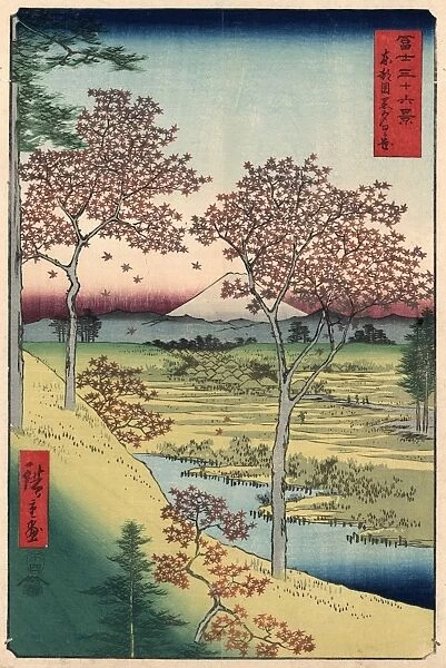 JAPAN: MAPLE TREES, 1858. Red maple trees at Sunset Hill, Meguro, Tokyo. Mount Fuji is visible in the background. Woodblock print by Ando Hiroshige, 1858