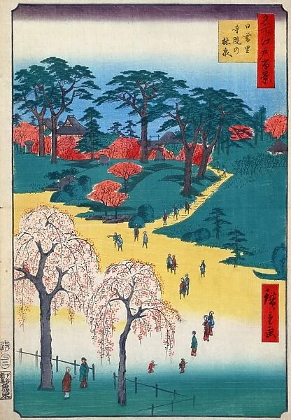 JAPAN: TEMPLE GARDENS. A view of the temple gardens in the Nippori district of Tokyo, Japan. Woodblock print by Ando Hiroshige, 1857