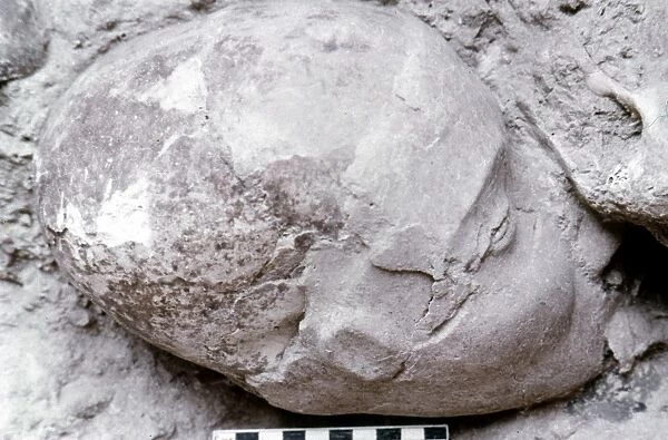 JERICHO: HUMAN SKULL. Human skull found at Jericho with living features affixed in plaster, 7th millenium B. C