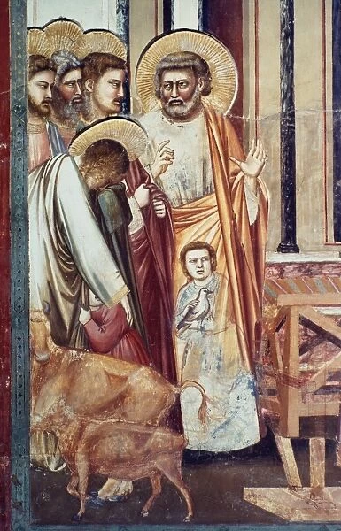 JESUS & MONEYCHANGER. Detail, Merchants Driven from Temple. Fresco, c1304-06, by Giotto