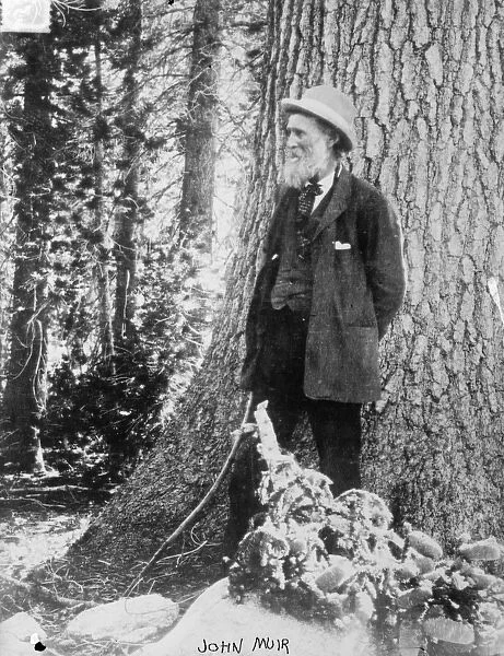 JOHN MUIR (1838-1914). American (Scottish-born) naturalist. Undated photograph