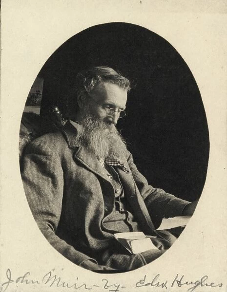 JOHN MUIR (1838-1914). American (Scottish-born) naturalist. Photograph by Edward Hughes
