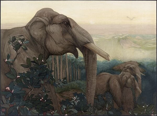 JUNGLE BOOK, 1903. Toomai of the elephants