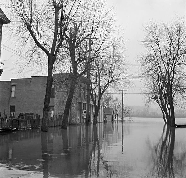 KENTUCKY: FLOOD, 1936. Flooded streets in Ashland, Kentucky, after the flood of the Ohio River