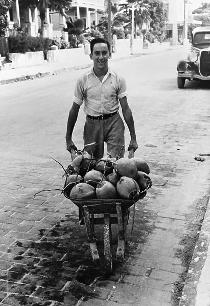 KEY WEST: COCONUTS, 1938. Man with a wheelbarrow of coconuts. Photograph by Arthur Rothstein