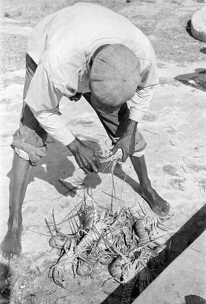 KEY WEST: FISHERMAN, 1938. A fisherman with lobsters in Key West, Florida
