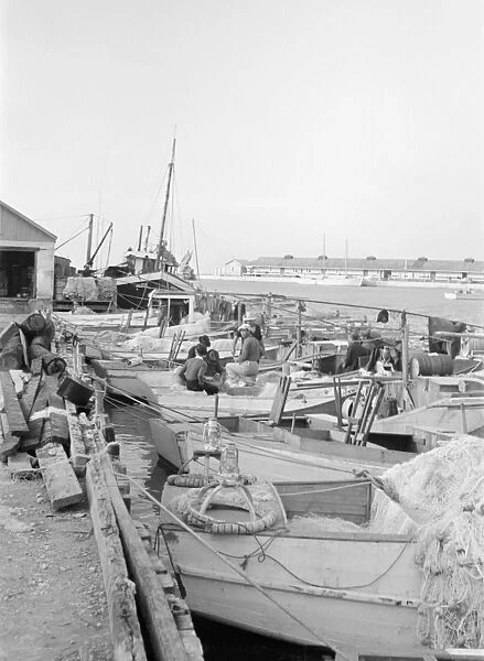 KEY WEST: FISHERMEN, 1938. Fishing wharf in Key West, Florida. Photograph by Arthur Rothstein