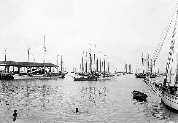 KEY WEST: HARBOR, c1895. A fleet of boats owned by sponge divers in the harbor at Key West