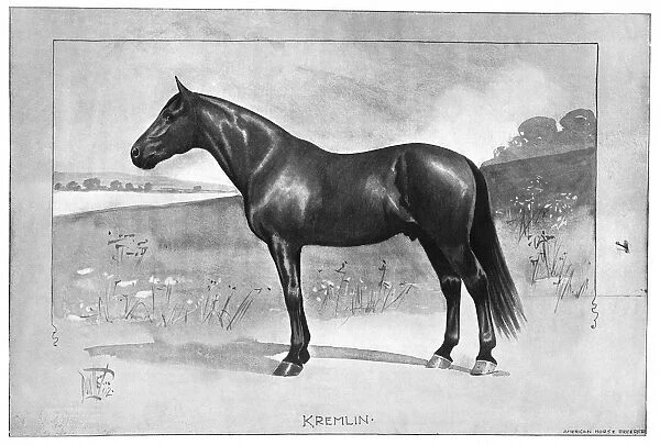 KREMLIN, 1902. American racehorse. Illustration, 1902