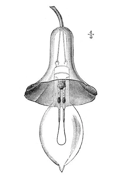 LANE FOX INCANDESCENT LAMP. English inventor St. George Lane Fox (1856-1932), introduced electric lighting to Great Britain in the 1880s. Line engraving