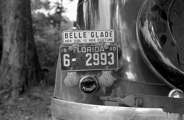 LICENSE PLATE, 1940. Cherry pickers Florida license plate with another plate which reads Belle Glade - Her Soil Is Her Fortune on the back of a Plymouth automobile, Berrien County, Michigan. Photograph by John Vachon in July 1940