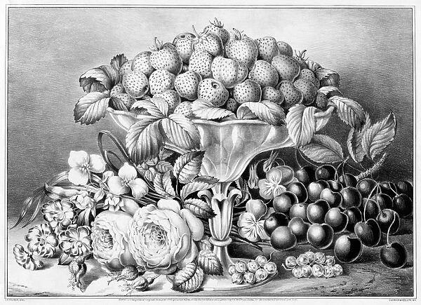 STILL LIFE, c1863. Fruit and Flower Piece. Engraving by Frances F. Palmer for Currier & Ives