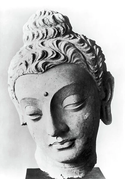 Limestone head from Gandhara (northwest Pakistan), 4th -5th century A. D