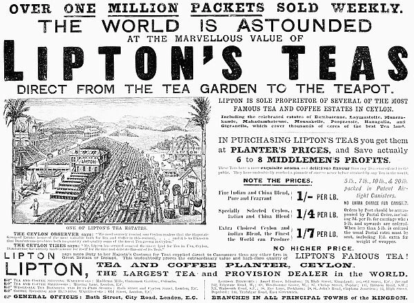 LIPTON TEA AD, 1892. From an English newspaper of 1892