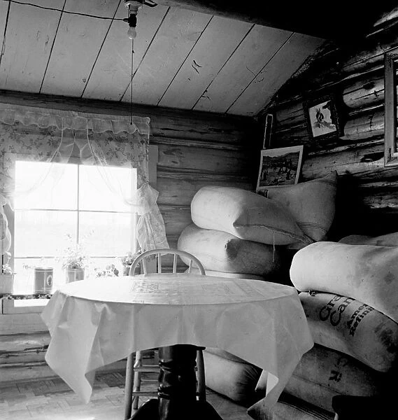 LOG CABIN, 1939. Interior of a farmers two-room log home with alfalfa seed stored in the corner