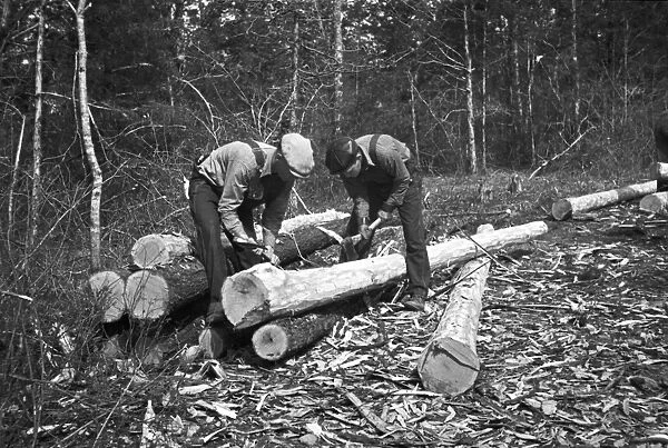 LOG STRIPPERS, 1936. Two carpenters stripping logs for shelters at Wilson Cedar Forest