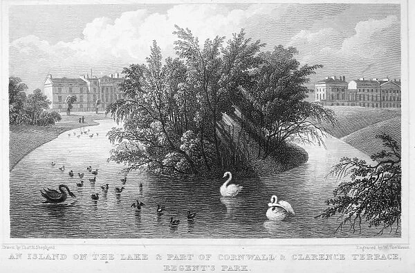 LONDON: REGENTs PARK. An island on the lake & parkt of Cornwall & Clarence Terrace, Regents Park. Steel engraving, English, 1828