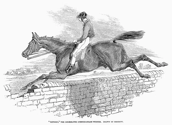 Lottery, the celebrated steeplechase winner. Wood engraving, English, 1844