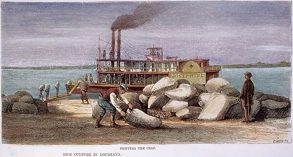 LOUISIANA STEAMBOAT, 1876. Loading bags of rice onto a river boat in Louisiana