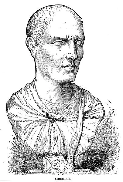 LUCIUS LICINIUS LUCULLUS (117-58  /  56 B. C. ). Roman general. Wood engraving, 19th century, of a Roman marble bust