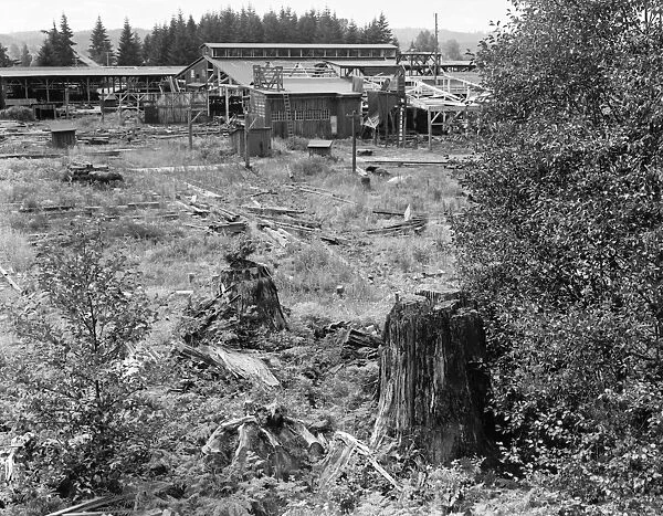 LUMBER MILL, 1939. The Mumby Lumber Mill being dismantled after thirty-five years