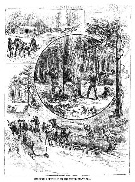 LUMBERING, 1883. Lumbering Sketches on the Upper Delaware. Engraving, American, 1883