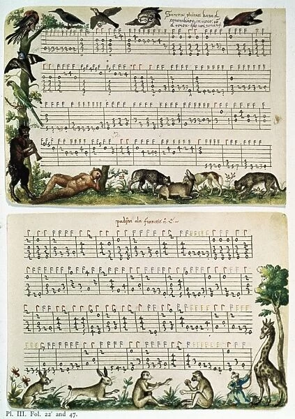 LUTE TABLATURE. Page from a lute tablature of msuci. Italian, 16th century