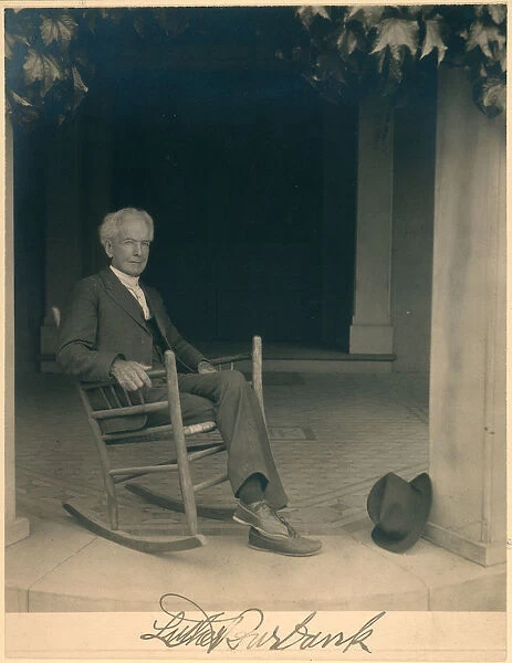 LUTHER BURBANK (1849-1926). American horticulturist. Photographed c1922