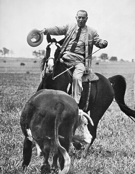 LYNDON BAINES JOHNSON (1908-1973). 36th President of the United States. Photographed the day after his victory in the election of 1964, riding his horse, Lady B. on his ranch in Texas