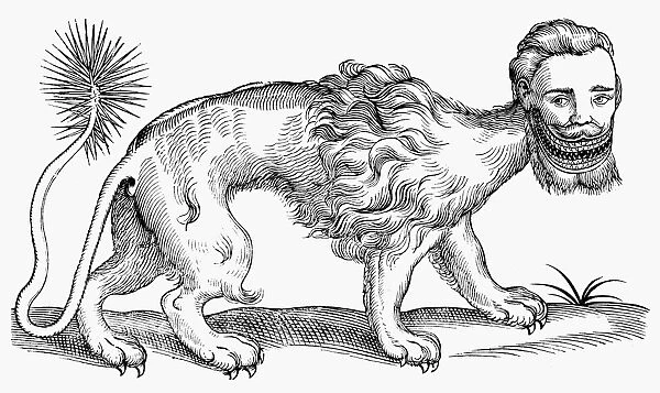 MANTICORE, 1607. Woodcut from Edward Topsells The History of Four-Footed Beasts