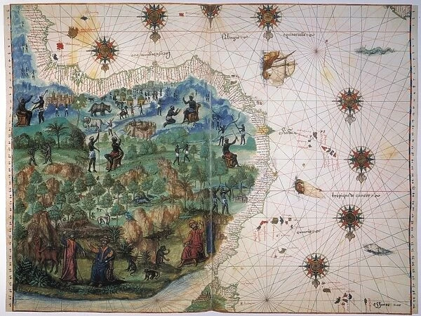 MAP OF WEST AFRICA, c1547. From the Vallard Atlas; the map, drawn upside-down