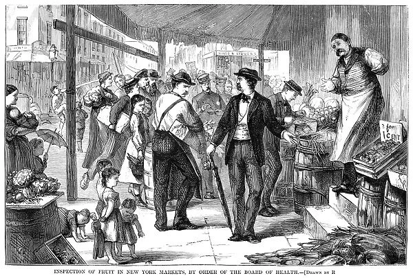 MARKET INSPECTION, 1873. Inspection of Fruit in New York Markets, by Order of the Board of Health. Wood engraving, American, 1873
