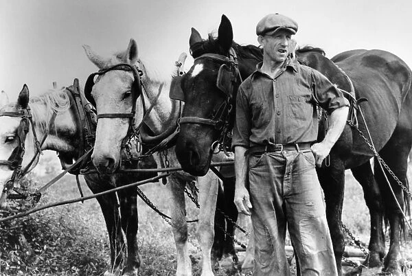 MARYLAND: FARMER, 1940. A farmer and his horse team near Frederick, Maryland