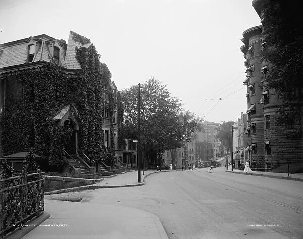 MASSACHUSETTS: SPRINGFIELD. Maple Street in Springfield, Massachusetts. Photograph